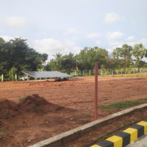 IMG_20241012_171639_1